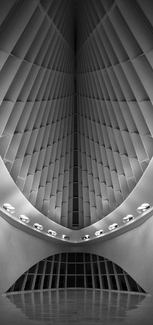 MAM at Night MAM at Night