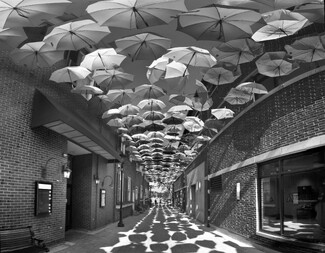 60% Chance of Umbrellas 60% Chance of Umbrellas