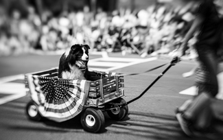 The Real Grand Marshall The Real Grand Marshall