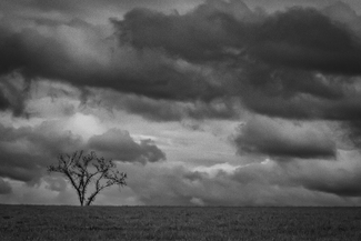 Against the Dying of the Light Against the Dying of the Light