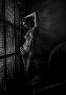 Anuschka Shadow #2 Anuschka Shadow #2