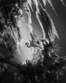 Love Language Love Language