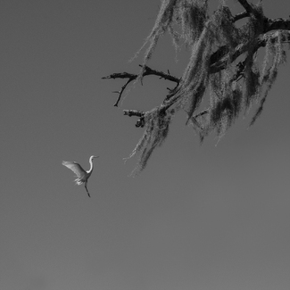 The Conversation The Conversation