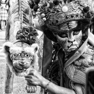 General Tiger General Tiger