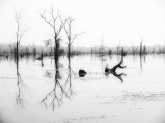 The Lake of Siem Reap The Lake of Siem Reap