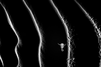 Patterns in the sand Patterns in the sand