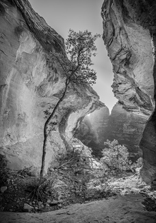 Sedona Canyon Sedona Canyon