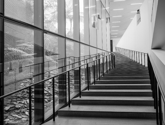 De Young Steps De Young Steps