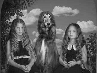 Girls and a dog  Girls and a dog