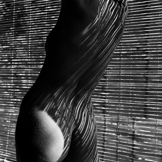 Maddie's Backyard Maddie's Backyard