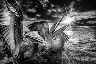 Sunrise over the lake Sunrise over the lake