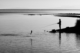 Catch Me If You Can Catch Me If You Can