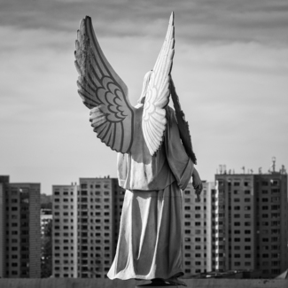 Angel over the city