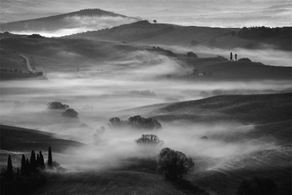 Floating Fog Floating Fog