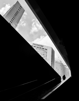 The world on the steps The world on the steps