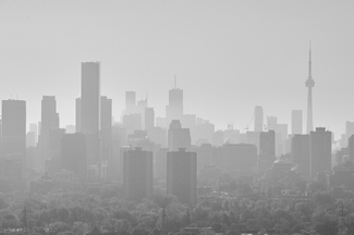 Misty Morning Misty Morning