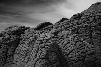 Desert Scales Desert Scales