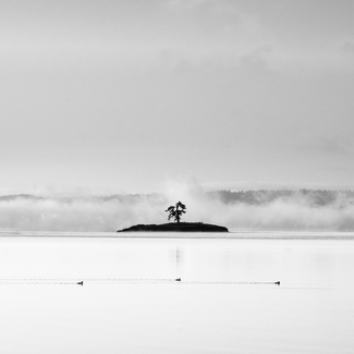 A Dance with Fog A Dance with Fog