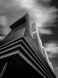 The Rotterdam The Rotterdam