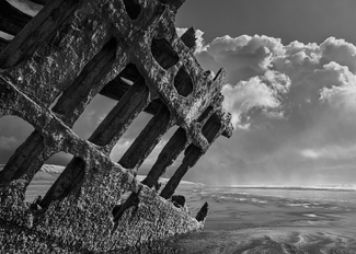 Tyrannosaurus Wrecks Tyrannosaurus Wrecks