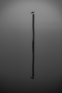 Montauk Beach Part 2 Montauk Beach Part 2