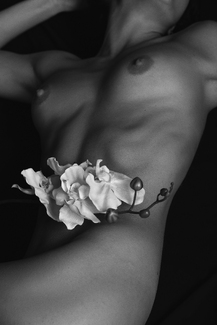 The blossoming of life as flower The blossoming of life as flower