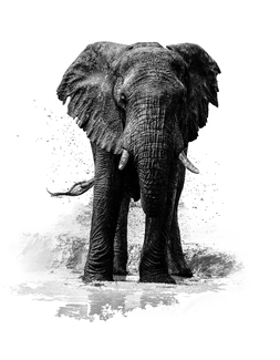 Lonesome Drink and a Mudbath Lonesome Drink and a Mudbath