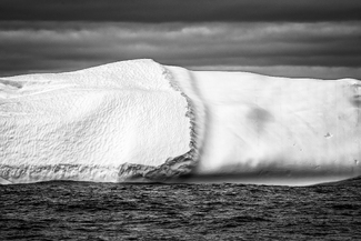 Iceberg Iceberg