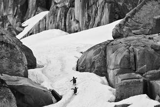 Friends in High Places Friends in High Places