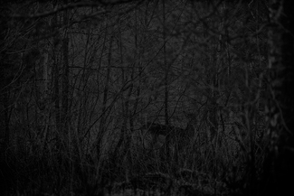 Waiting to be Shot Waiting to be Shot