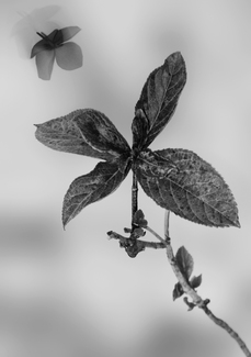 I missed you I missed you