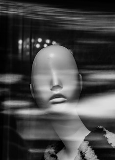 Head in the Clouds Head in the Clouds