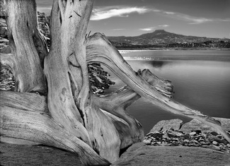 Juniper Crossing Juniper Crossing