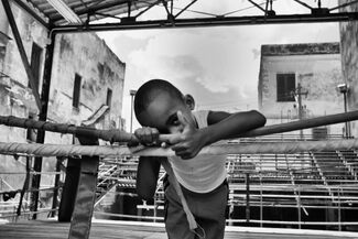 Eye of Tiger Eye of Tiger