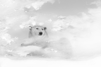 In the clouds In the clouds