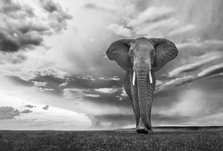 Le temps suspendu Le temps suspendu