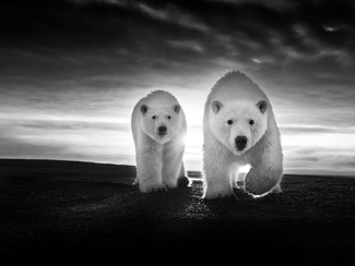 Body and soul Body and soul