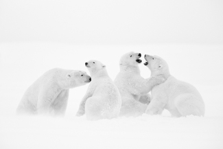 WHITE SYMPHONIE WHITE SYMPHONIE