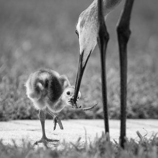 Lunch is Served Lunch is Served