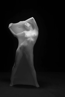 Metamorphosis Metamorphosis