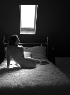 Window Light Window Light