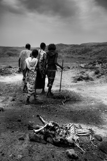 Not a drop of rain, Afar Region, Ethiopia