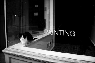 Random Thoughts #292 Random Thoughts #292