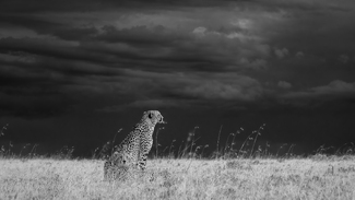 Waiting for the Storm Waiting for the Storm