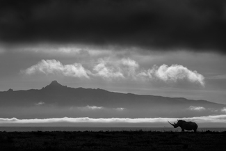 Guardian of the Mount Guardian of the Mount