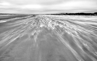 Against the Grain Against the Grain