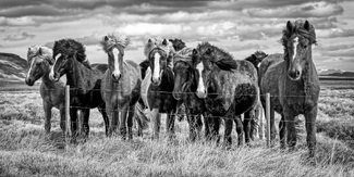 How's my Hair? How's my Hair?