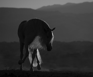 Good Morning Sunshine Good Morning Sunshine