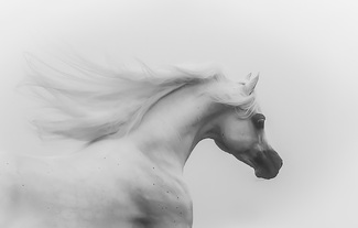 Into the fog.... Into the fog....