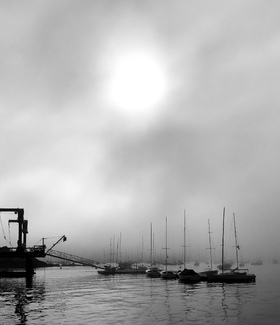 Morning Fog Morning Fog